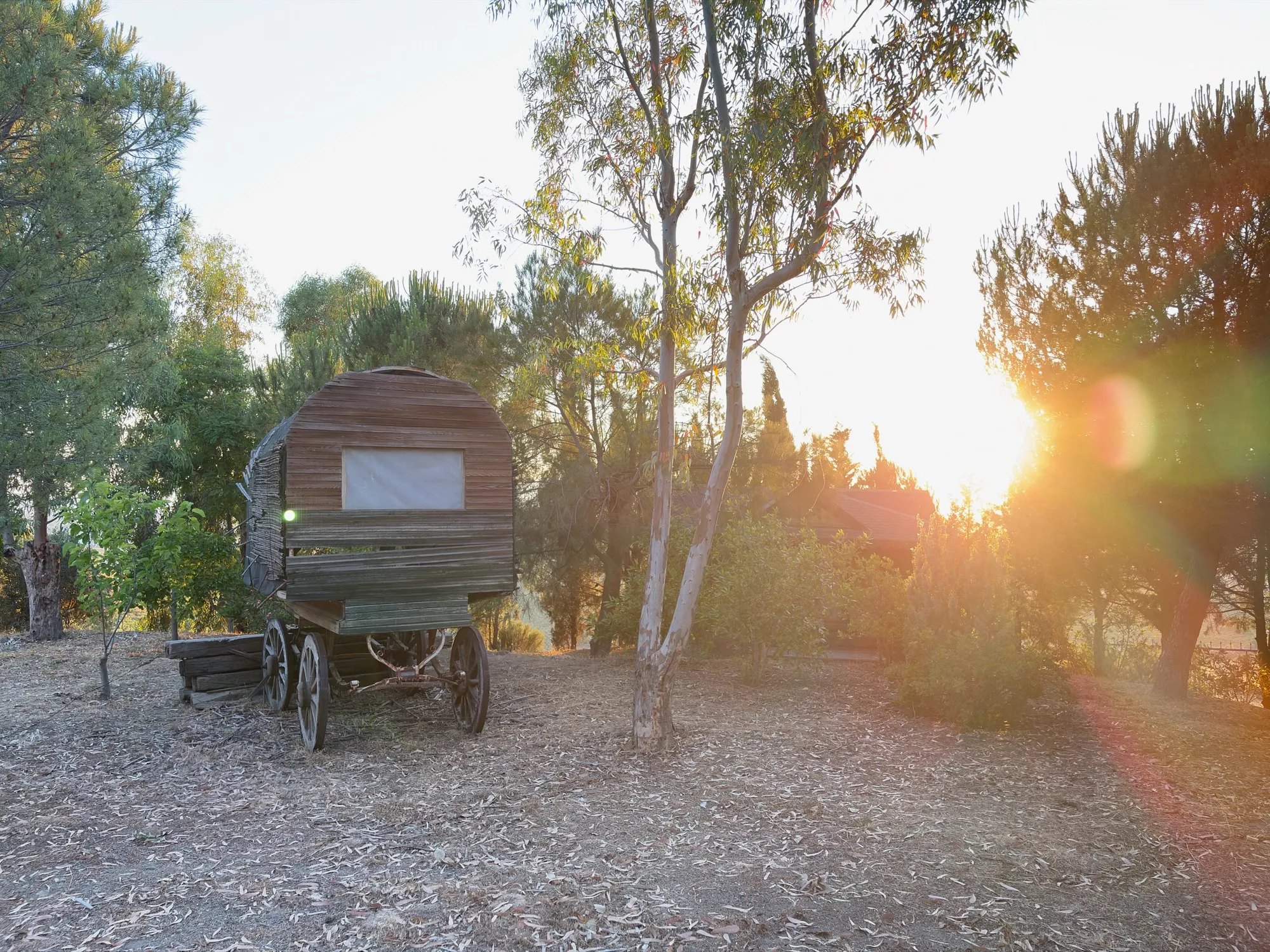 The wagon at golden hour