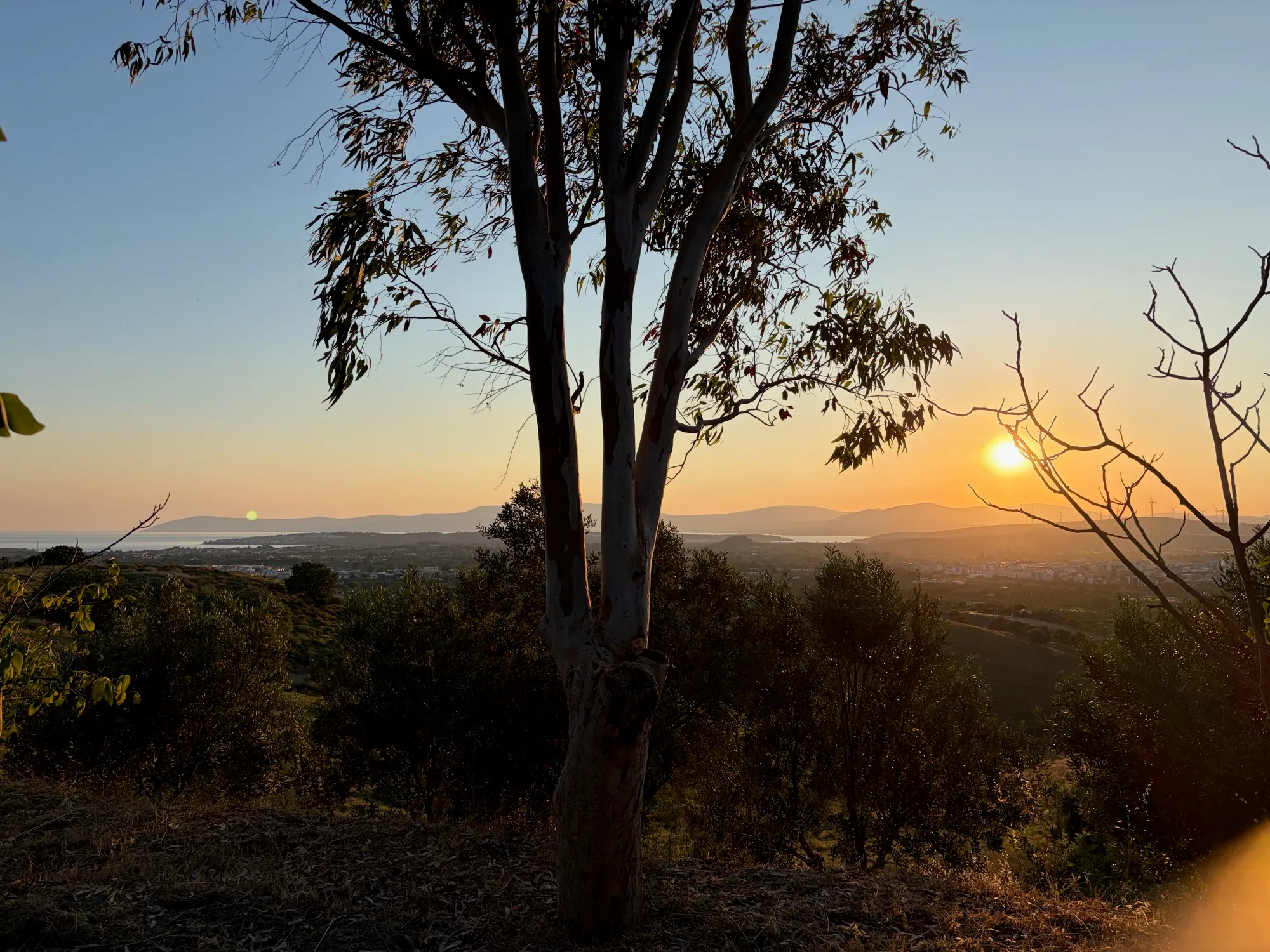 Sunset shared by Jonas