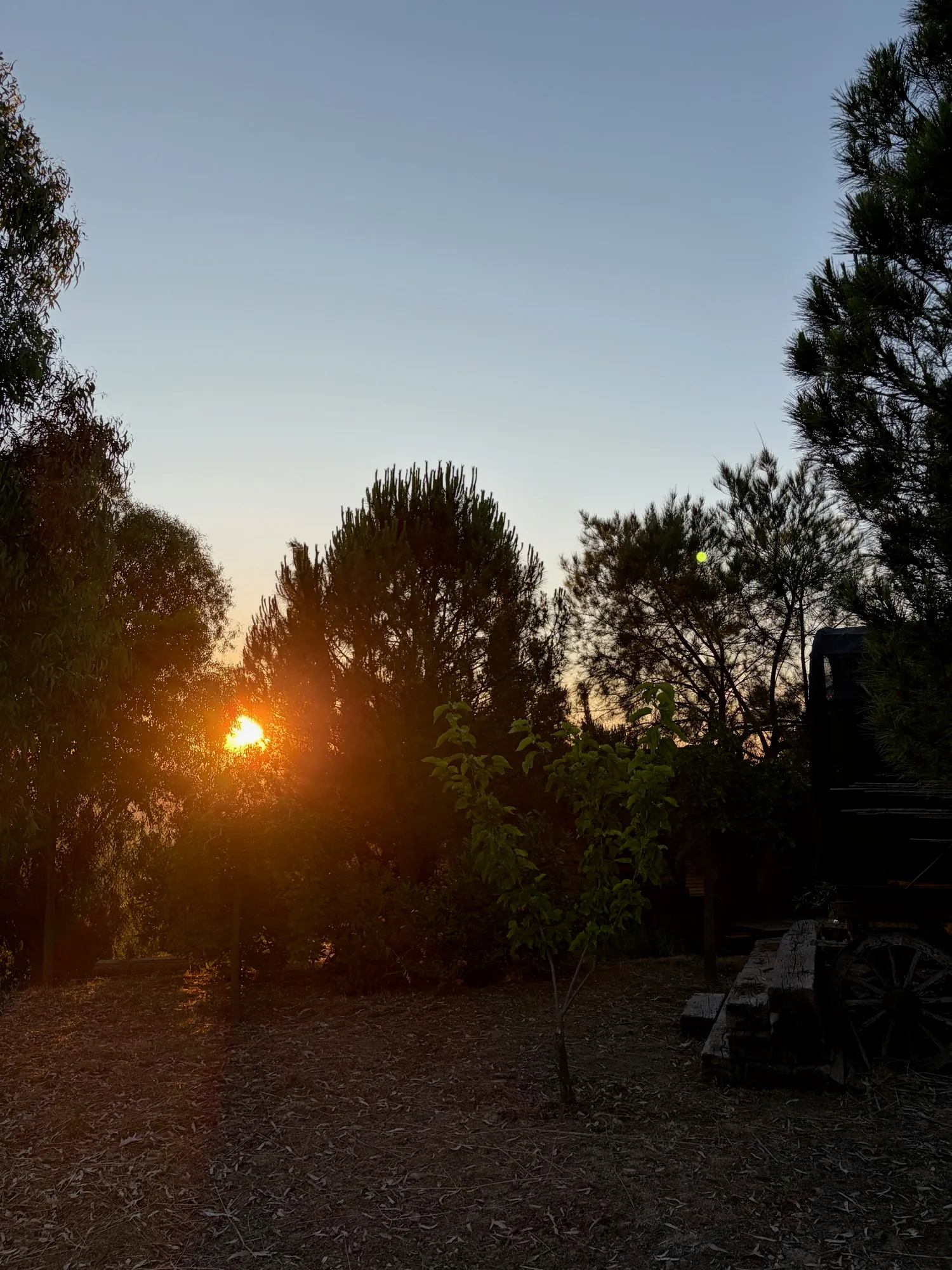 Sunset over Sığacık from Dilek Tepesi