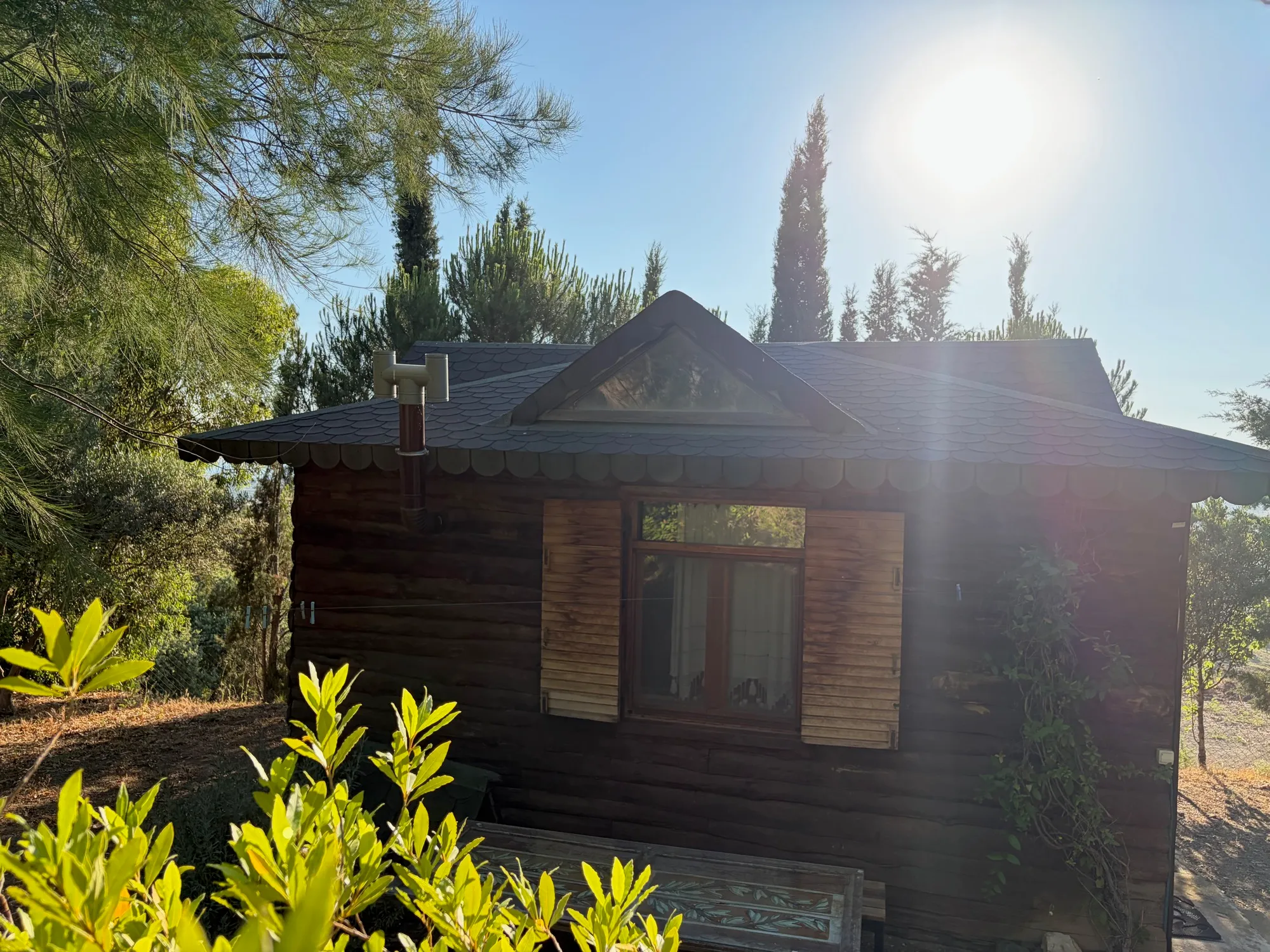 Morning sun on the cabin