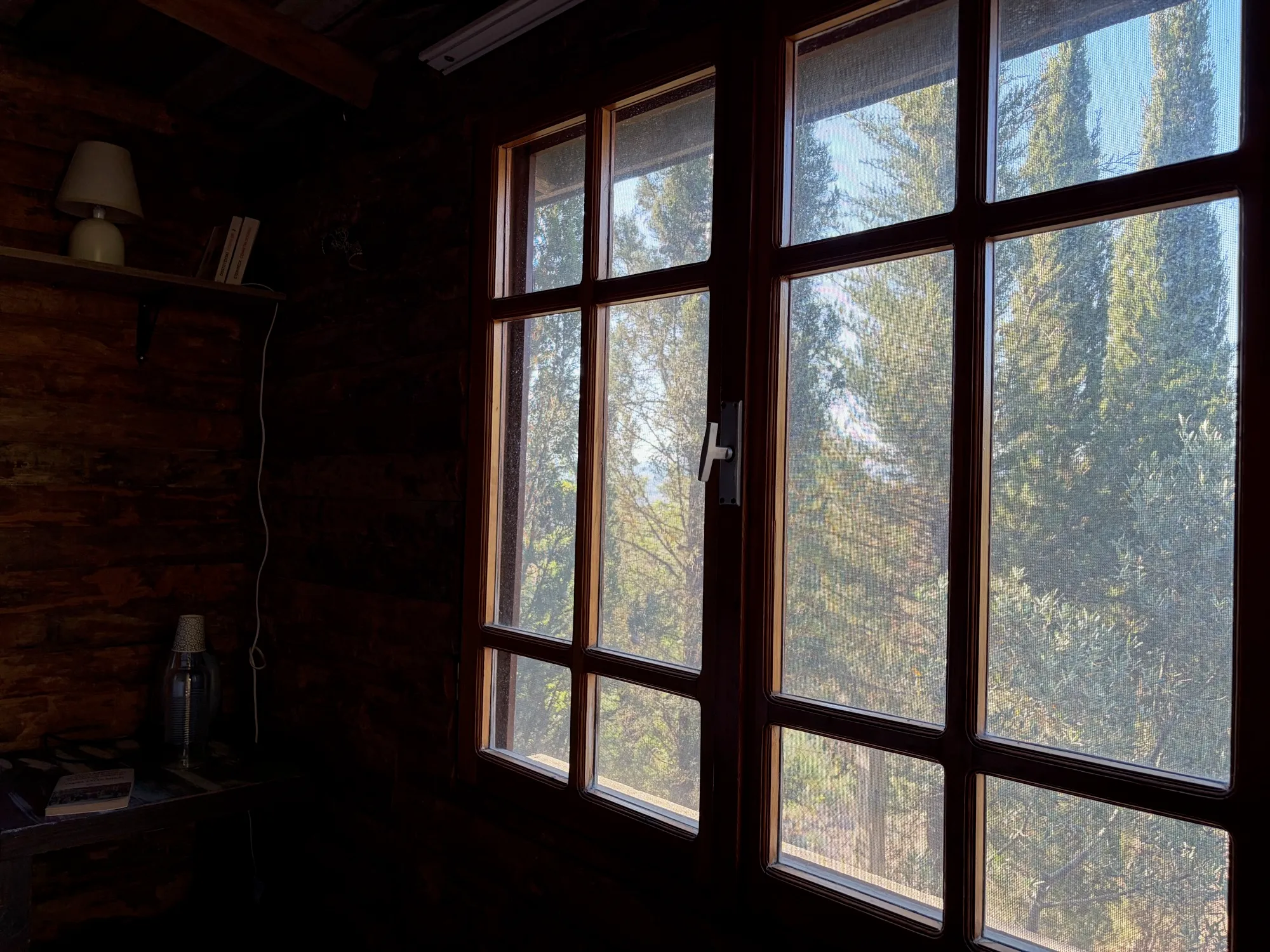 The window