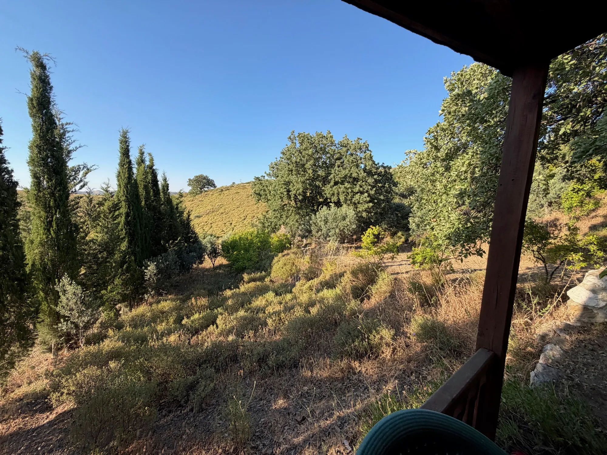 From the porch