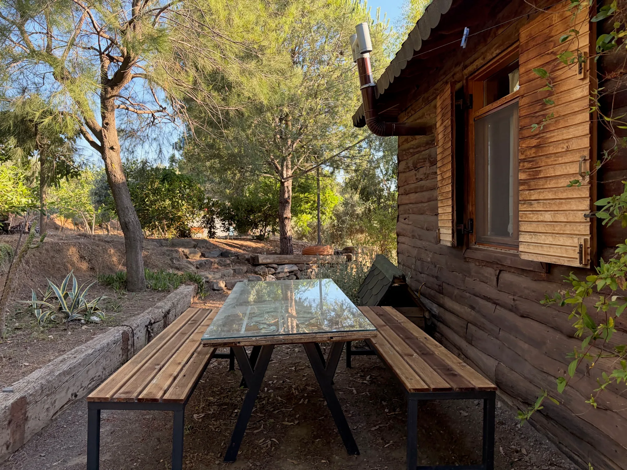 The long table