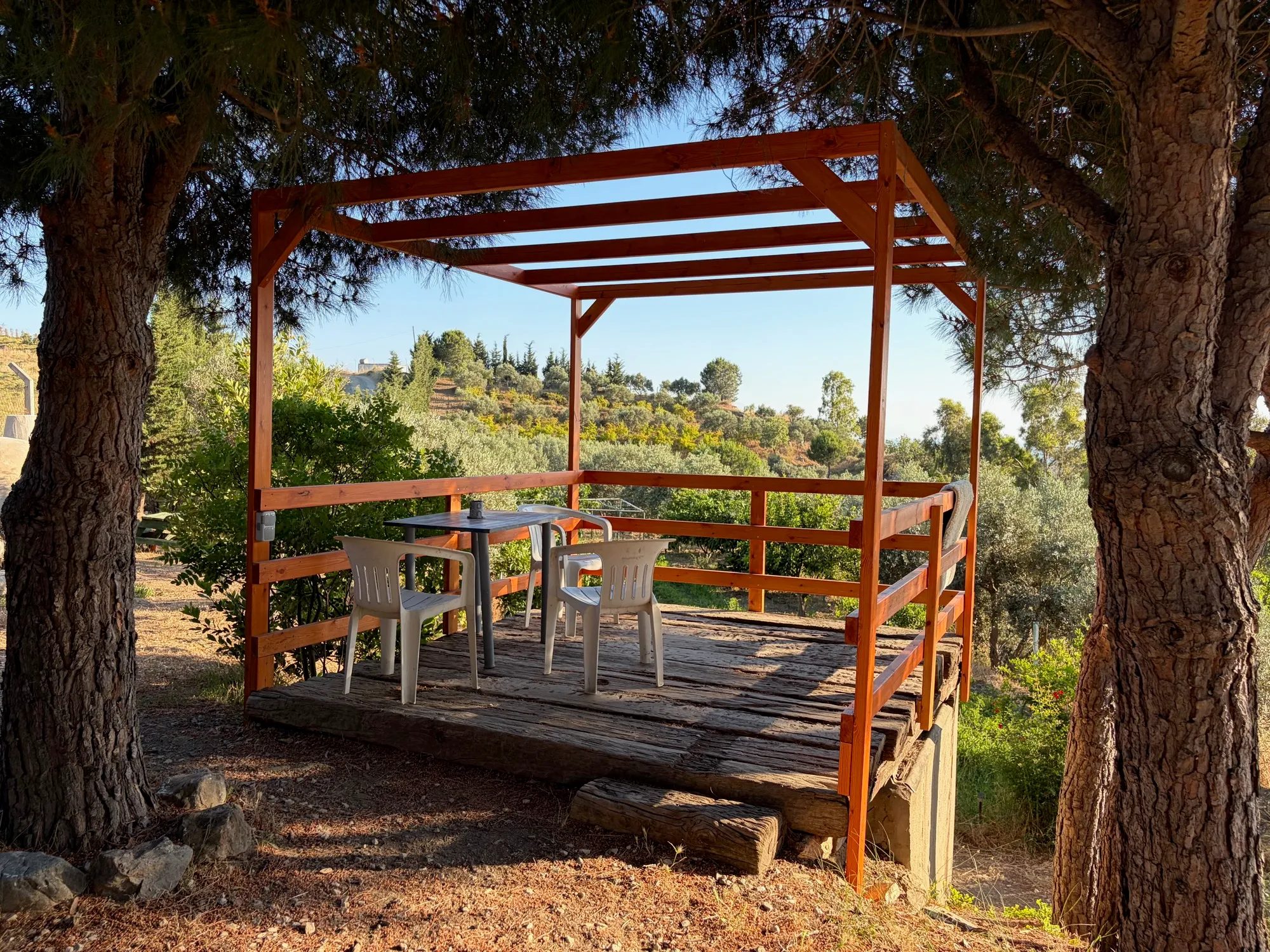 The pergola