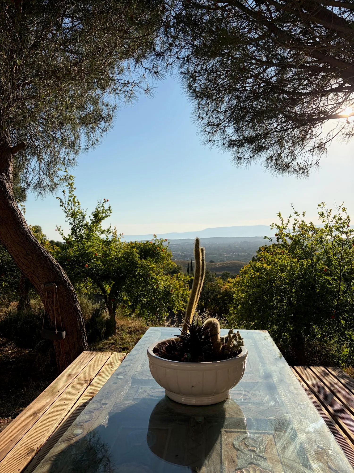 The view from the terrace