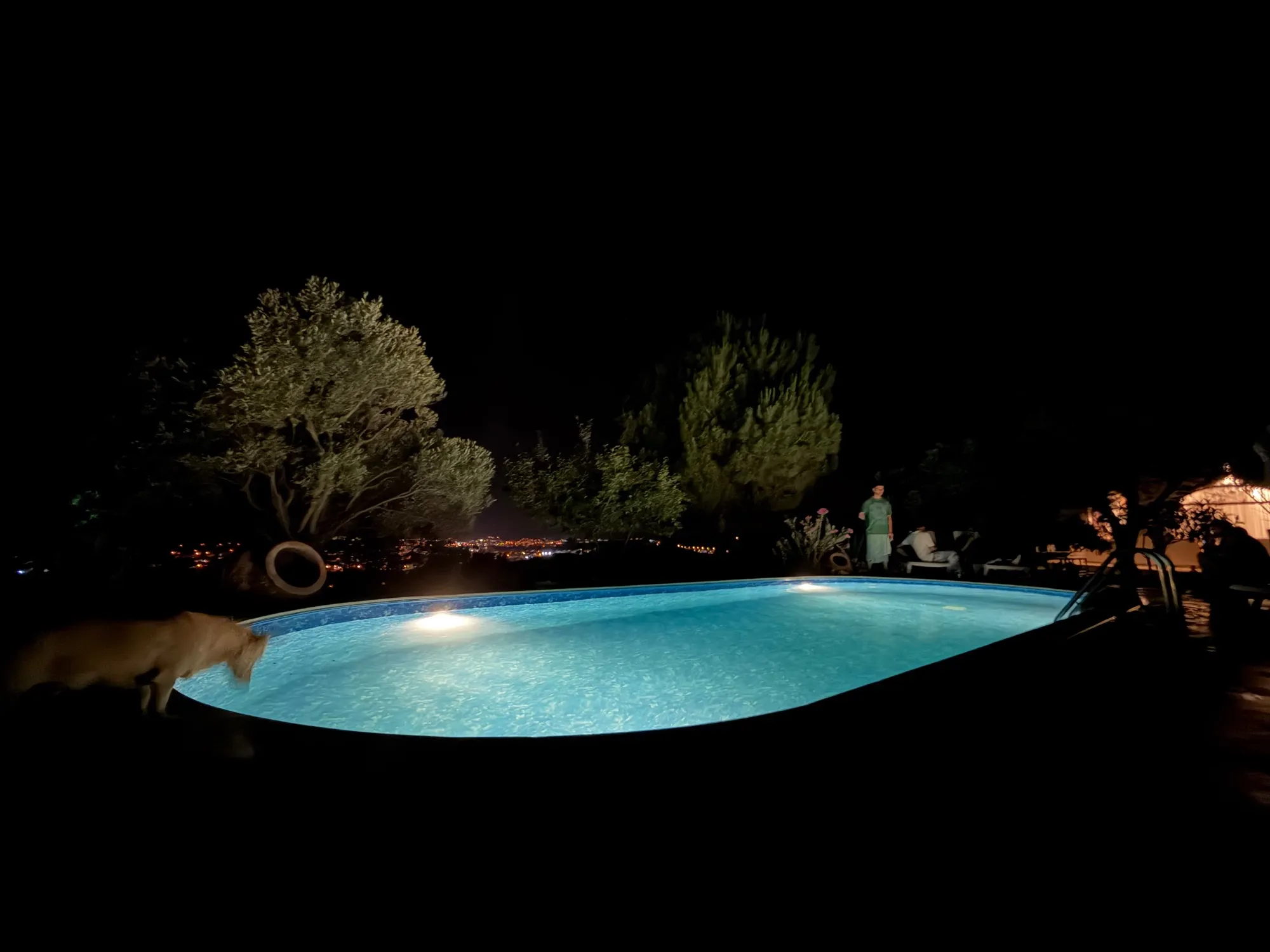 Pool after dark