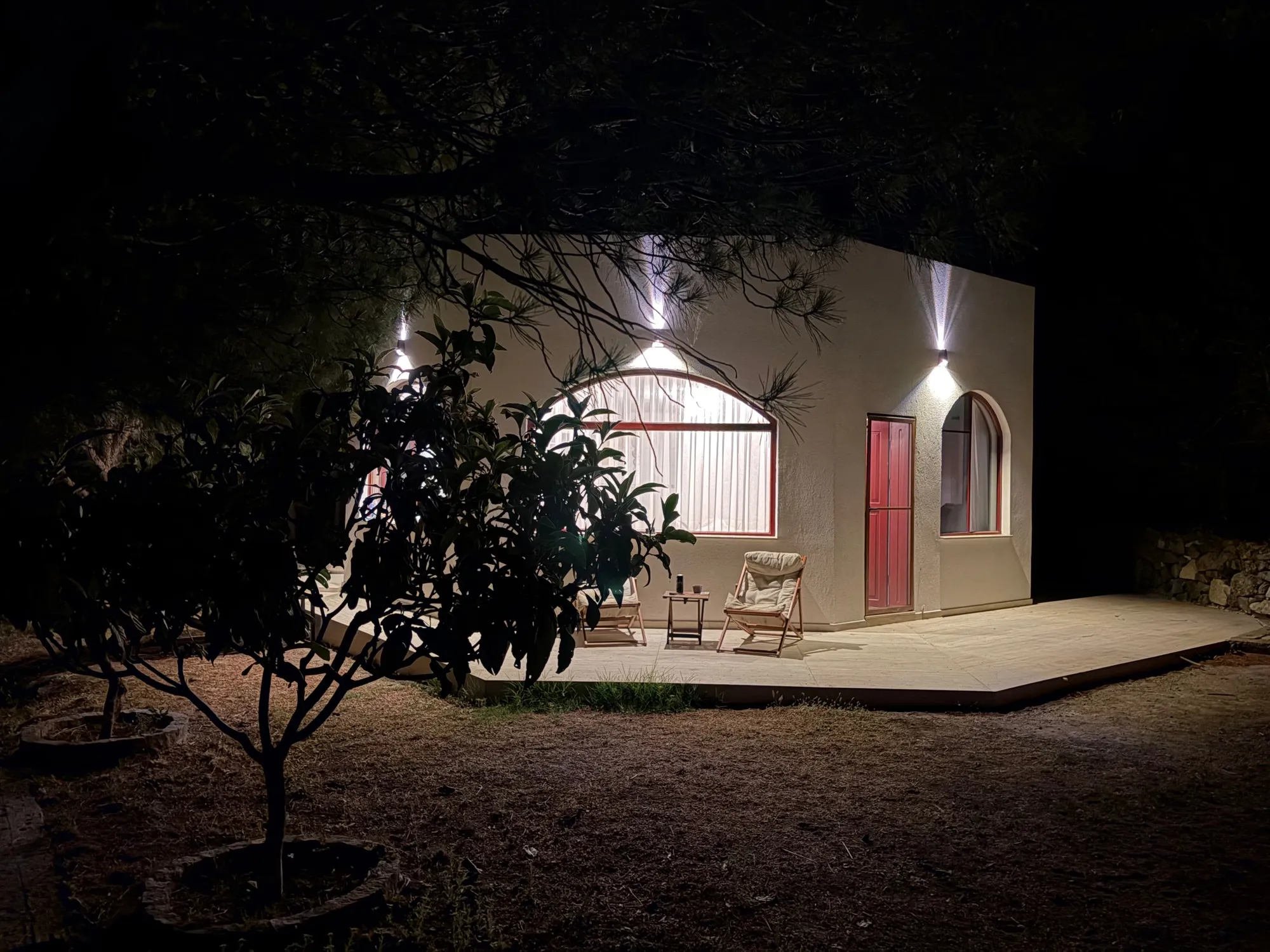 Kale at night